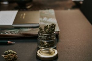 digital transformation of the cannabis industry