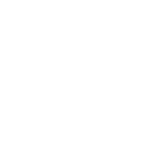 Distribution Sage X3