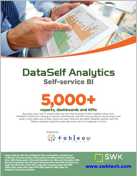 dataself-bi-software