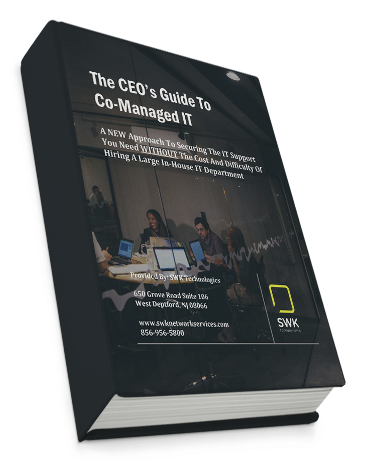 Co-managed IT CEO guide