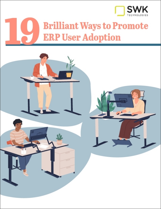 19 Brilliant Ways to Promote ERP User Adoption White Paper