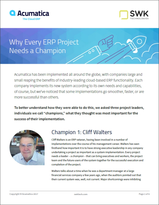 Why Every ERP Project Needs a Champion White Paper