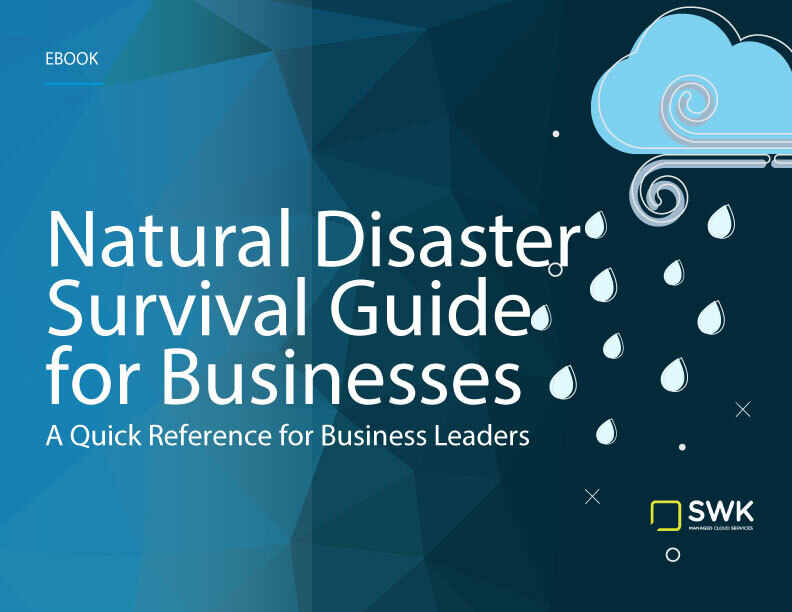 Natural disaster survival guide for businesses.