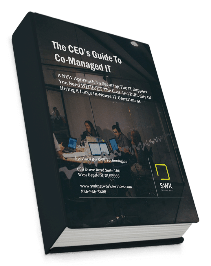 Co-managed IT CEO guide