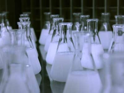 A group of beakers filled with white liquid.
