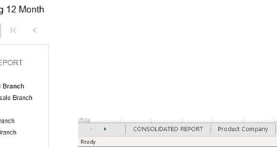 A screen shot of a spreadsheet showing a profit and loss report for a month.