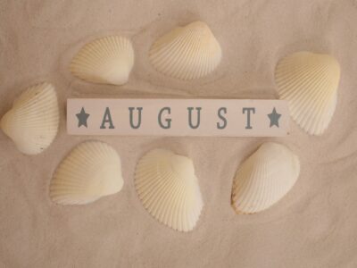 Wooden sign reading "AUGUST" between two gray stars, lying on rippled sand and surrounded by seven ridged cream shells.